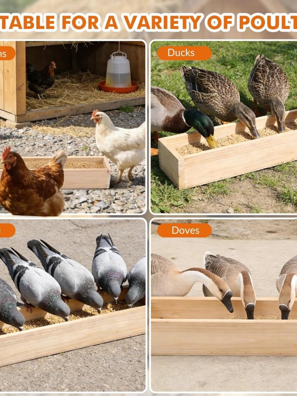 Wooden Chicken Feeder, 2 Pack 20” - Picture 2 of 4
